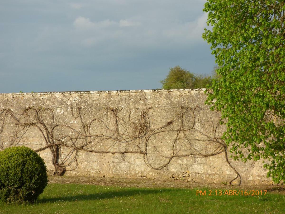 Chateau De Montrame Soisy-Bouy Exteriér fotografie