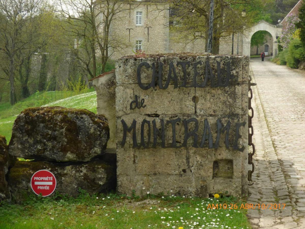 Chateau De Montrame Soisy-Bouy Exteriér fotografie