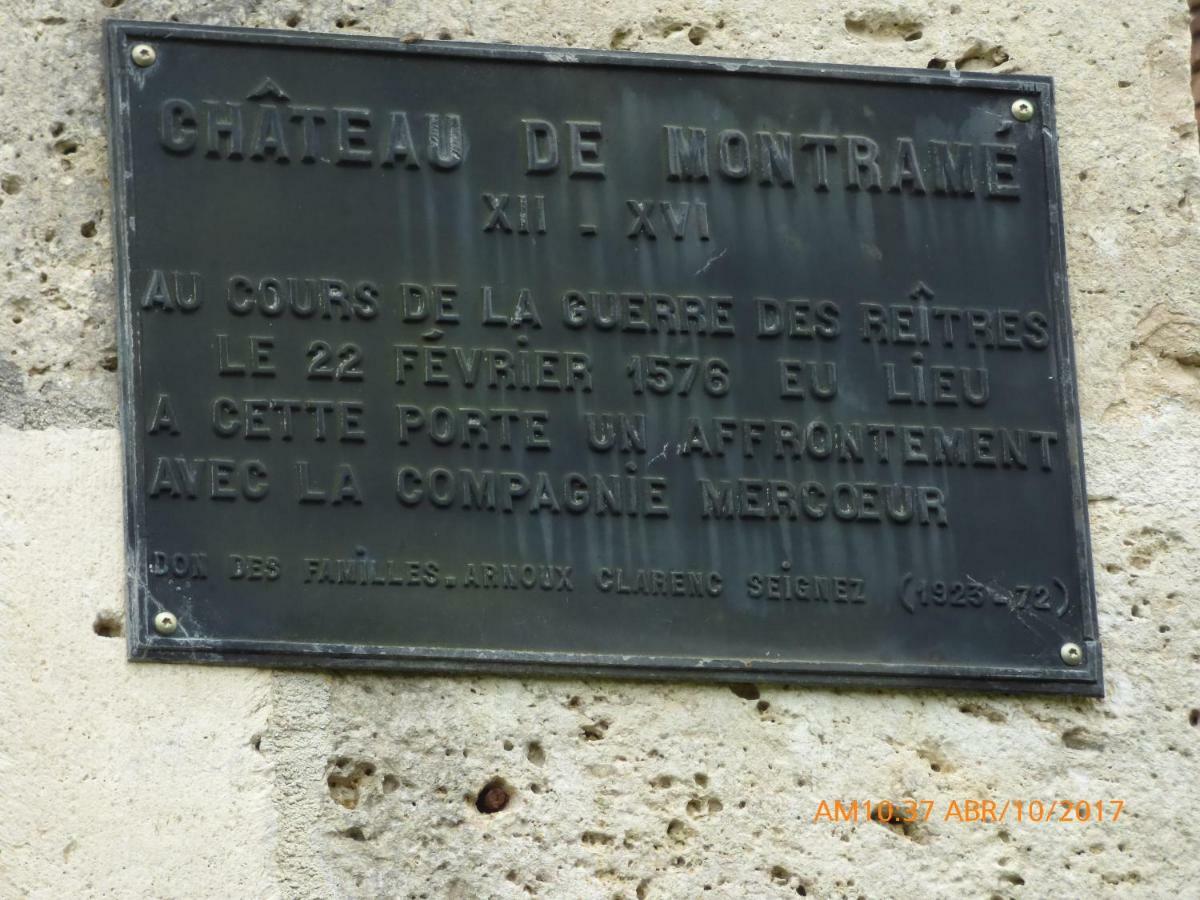Chateau De Montrame Soisy-Bouy Exteriér fotografie