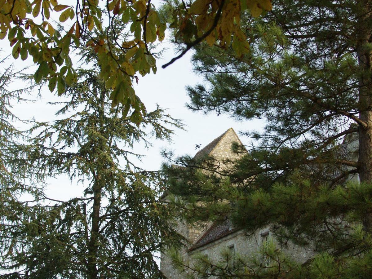 Chateau De Montrame Soisy-Bouy Exteriér fotografie