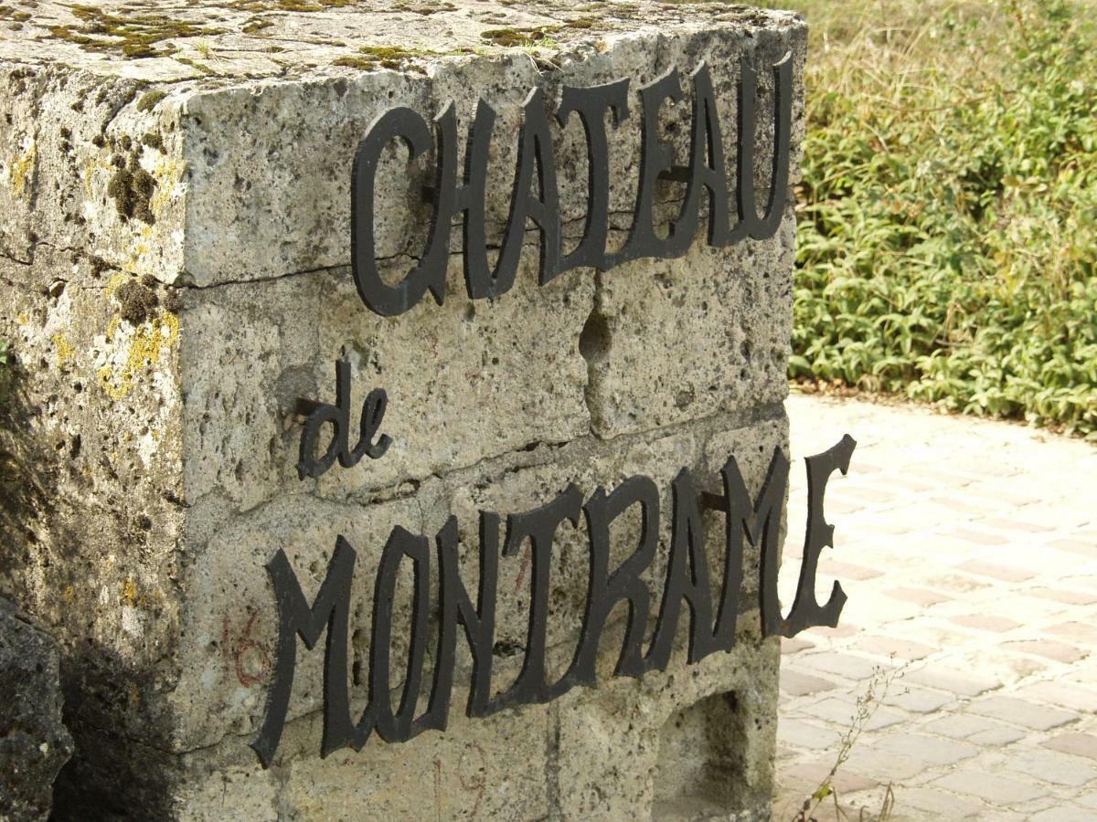Chateau De Montrame Soisy-Bouy Exteriér fotografie